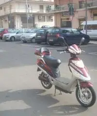 Scooter elettrico Scooter elettrico