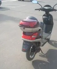 Scooter elettrico Scooter elettrico