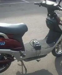 Scooter elettrico Scooter elettrico