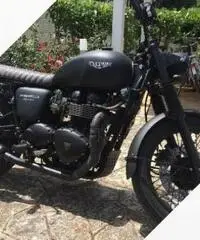 Triumph Bonneville - 2008 Triumph Bonneville - 2008