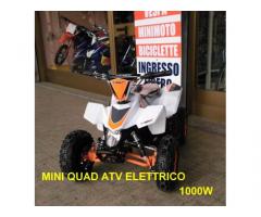 mini quad elettrico da 36V-1000W BIANCO VERDE