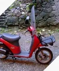 Piaggio Free 50 - 2003