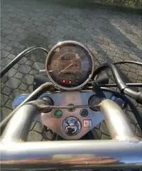 Bellissima Honda Shadow 600 Bellissima Honda Shadow 600