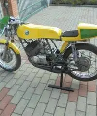 BENELLI 254 250 BENELLI 254 250