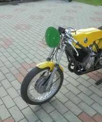 BENELLI 254 250 BENELLI 254 250