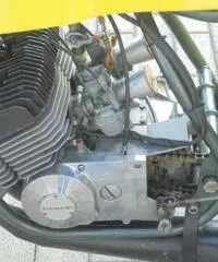 BENELLI 254 250 BENELLI 254 250