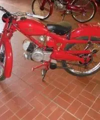 MOTO GUZZI V 75 CARDELLINO