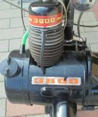 VELOCIFERO Velocifero 50 VELOSOLEX 3800 VELOCIFERO Velocifero 50 VELOSOLEX 3800