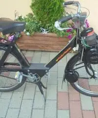 VELOCIFERO Velocifero 50 VELOSOLEX 3800 VELOCIFERO Velocifero 50 VELOSOLEX 3800