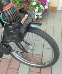 VELOCIFERO Velocifero 50 VELOSOLEX 3800 VELOCIFERO Velocifero 50 VELOSOLEX 3800