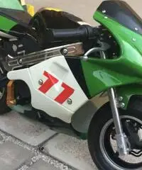 Minimoto nuova Nitro 50cc