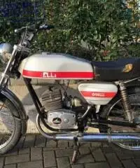 GARELLI Junior Turismo 50 Gran Turismo 1977 GARELLI Junior Turismo 50 Gran Turismo 1977