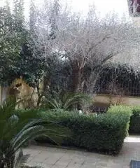 Villa di 4 locali in Vendita Villa di 4 locali in Vendita