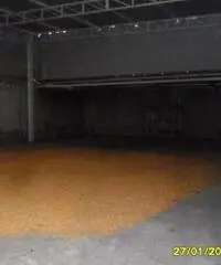 San Vitaliano Affitto Capannone