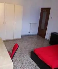 Quattro stanze singole per studentesse al vomero Quattro stanze singole per studentesse al vomero