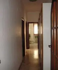 Appartamento in Affitto a 550 Appartamento in Affitto a 550