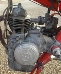 Motom 48 Motom 48