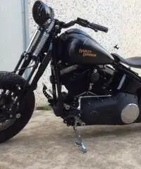 HARLEY DAVIDSON SOFTAIL CROSS BONES