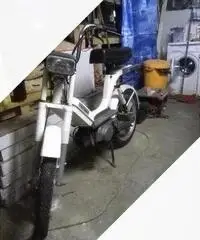 Piaggio Bravo - 1983 Piaggio Bravo - 1983