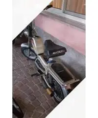 Mini califfo Rizzato Mini califfo Rizzato