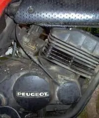 Moto Cross Peugeout Modello: TLX Epoca Collezione Moto Cross Peugeout Modello: TLX Epoca Collezione