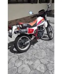 Honda XL600R, anno 1983 Honda XL600R, anno 1983