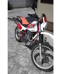 Honda XL600R, anno 1983 Honda XL600R, anno 1983