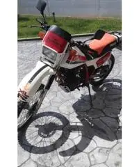 Honda XL600R, anno 1983 Honda XL600R, anno 1983