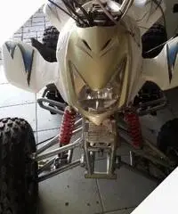 Altro Altro modello - 2013 Altro Altro modello - 2013