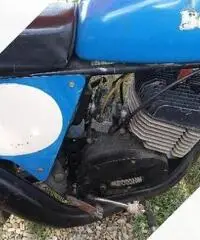 Benelli 125 Cross Altro modello - Anni 70 Benelli 125 Cross Altro modello - Anni 70