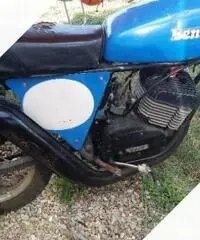 Benelli 125 Cross Altro modello - Anni 70 Benelli 125 Cross Altro modello - Anni 70