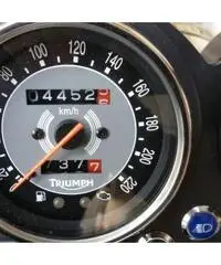 BONNEVILLE T100 - 50 TH  - 2009 BONNEVILLE T100 - 50 TH  - 2009