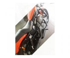 Harley Davidson 1200 Nightster Perfetta