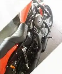 Harley Davidson 1200 Nightster Perfetta Harley Davidson 1200 Nightster Perfetta