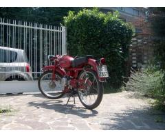 moto guzzi cardellino 73 cc 73 immatricolata 1961