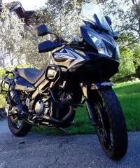 SUZUKI V Strom DL 650 Enduro cc 650 SUZUKI V Strom DL 650 Enduro cc 650