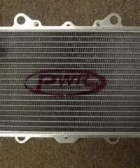 YAMAHA YZF Sportive cc 439 YAMAHA YZF Sportive cc 439