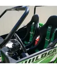 ArticCat Wildcat Trail 700