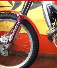 BETAMOTOR REV-3 250 GRICIO ROSSA - 2000 BETAMOTOR REV-3 250 GRICIO ROSSA - 2000