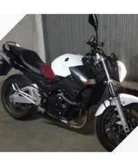 GSR 600 BIANCA, tagliandi certificati, GSR 600 BIANCA, tagliandi certificati,