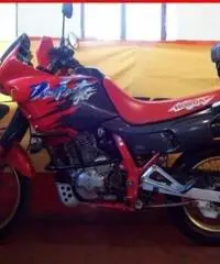 HONDA Dominator rossa - 47867