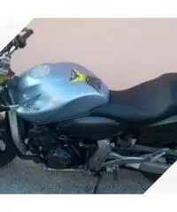 Honda Hornet - 2009