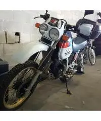 HONDA XL 600 LM (PD04E) – Doppio faro – 1987 HONDA XL 600 LM (PD04E) – Doppio faro – 1987