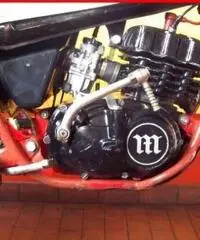 MONTESA Cota 123 bianca - 5755 MONTESA Cota 123 bianca - 5755