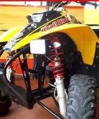 POLARIS Trail Blazer 250 GIALLO - 4500