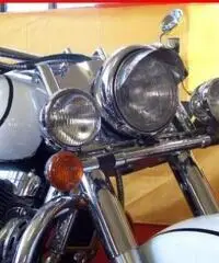 SUZUKI Intruder LC 1500 BIANCO - 65000 SUZUKI Intruder LC 1500 BIANCO - 65000
