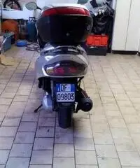 Wt motors Miami 250 Wt motors Miami 250