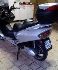 Wt motors Miami 250 Wt motors Miami 250