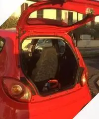 Minicar Elettrica Icaro Greenmotors