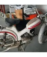 MOTOM Gipsy 50 50cc cc 50